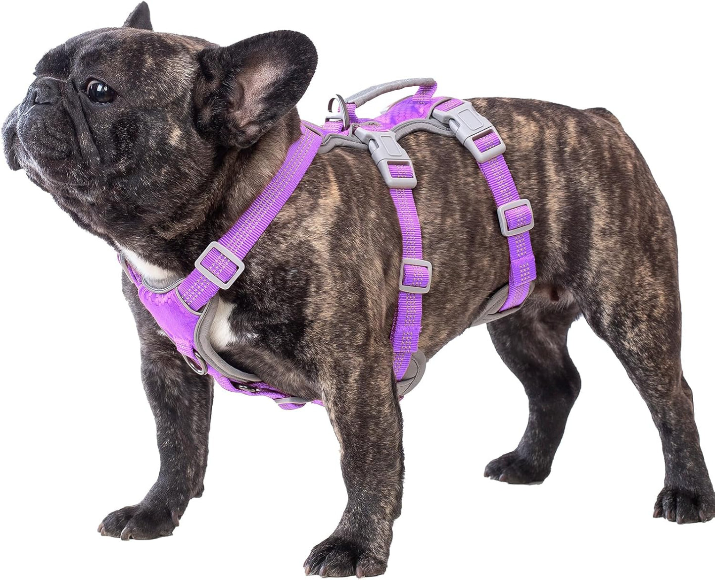 Escape Proof Dog Harness for Medium Dogs - Reflective and Durable