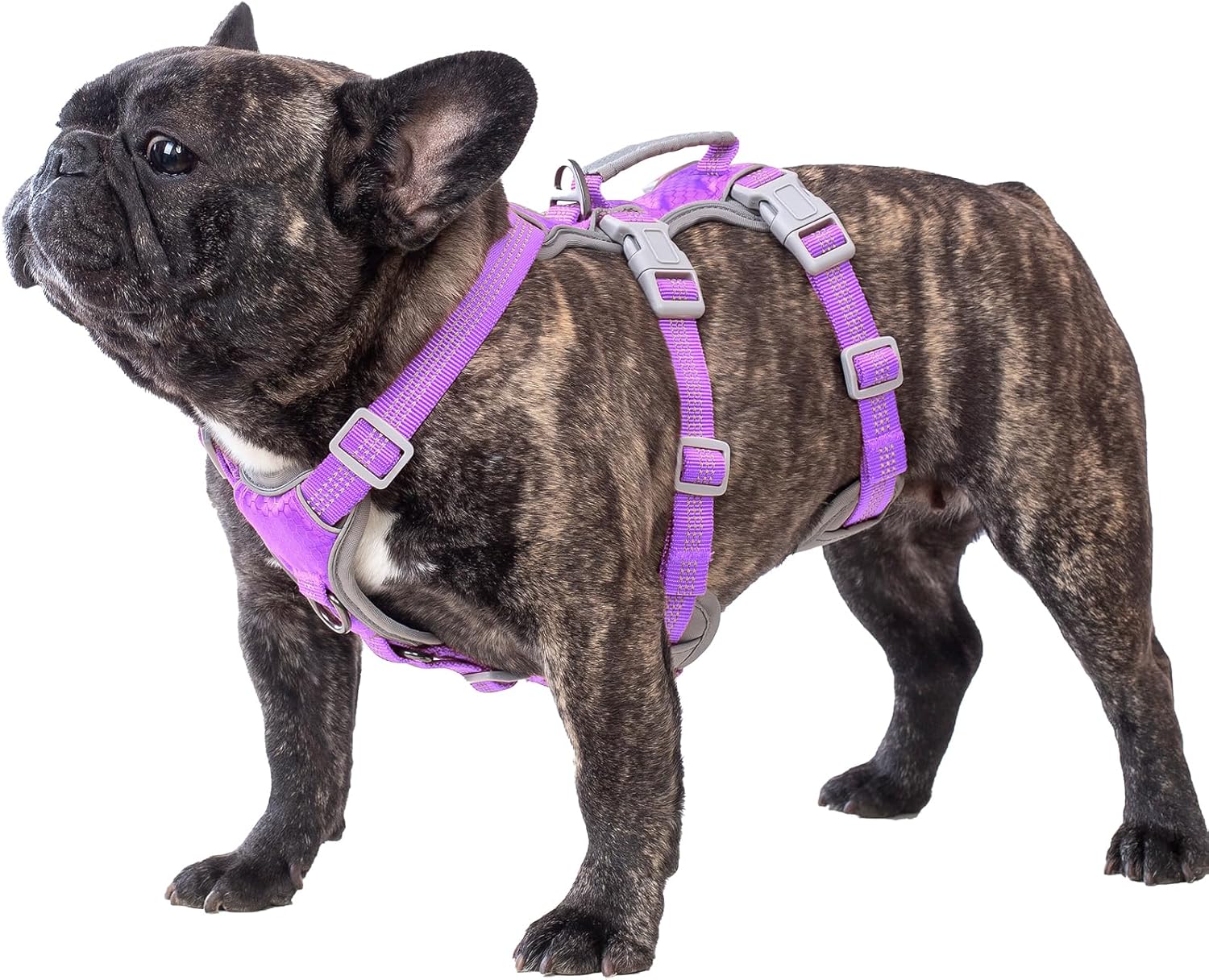 Escape Proof Dog Harness for Medium Dogs - Reflective and Durable
