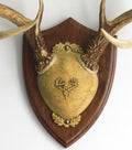 Ultimate Antler Mounting Kit - Solid Walnut DIY Plaque