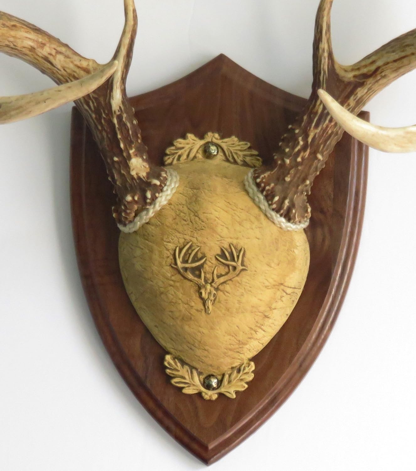 Taxidermists Woodshop TTW Ultimate Antler Mounting Kit Review