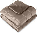 Weighted Blanket Queen Size 17lb - Soothing Minky Fleece Comfort