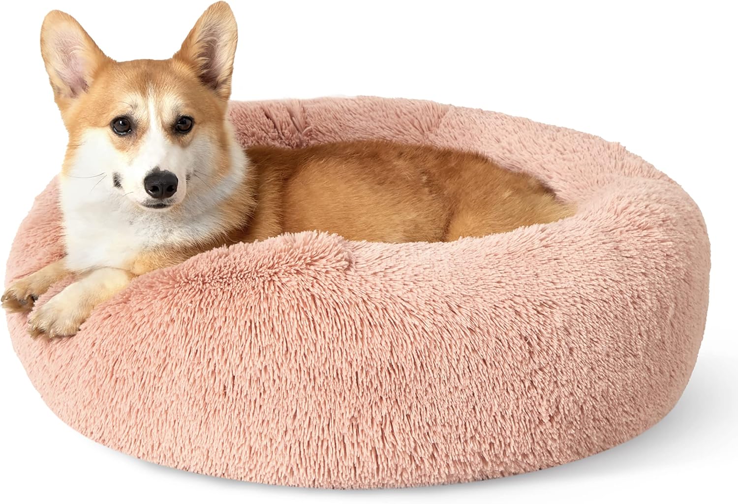 Calming Dog Bed for Medium Dogs - Cozy Donut Design 30 in