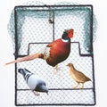 Pigeon Bird Trap Quail Sparrow Spring Starling Catching Net Traps