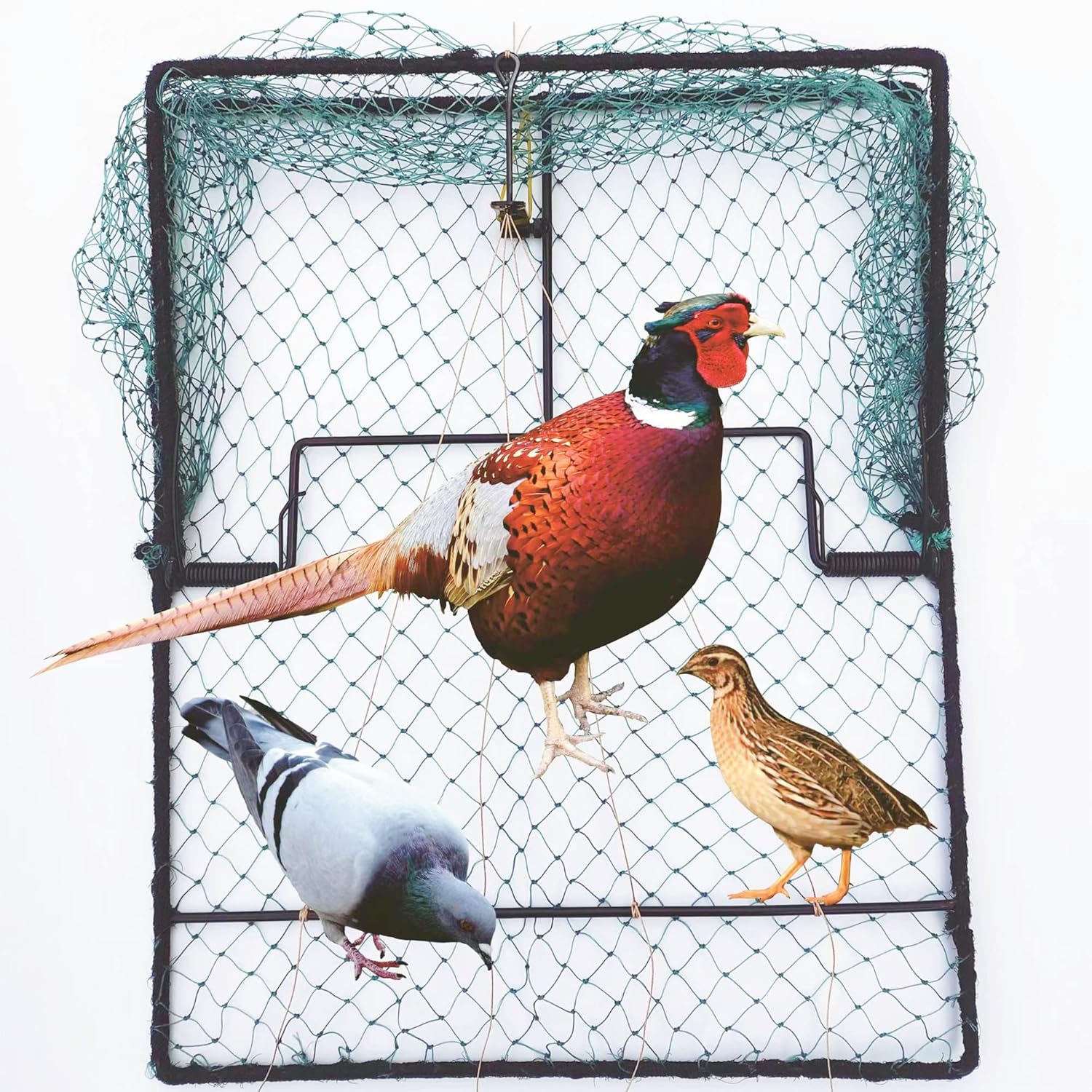 Pigeon Bird Trap for Quail Sparrow Starling Efficient Capture