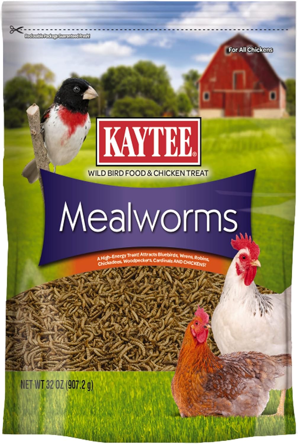Kaytee Wild Bird Food Mealworms for Attracting Bluebirds & More