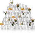 Glass Bud Vases Set of 64 - Assorted Small Mini Glass Vases for Table