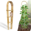 Bamboo U Trellis 4 FT Plant Ladder for Indoor Potted Plants