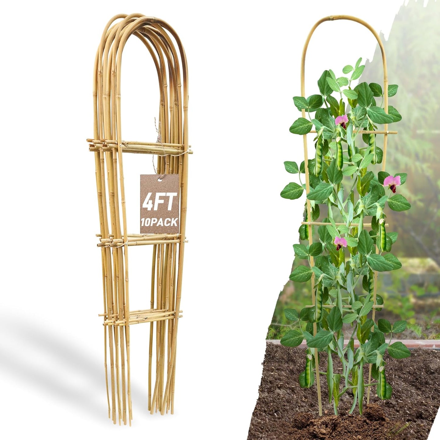 Bamboo U Trellis for Climbing Plants - 10 Pack Garden Support