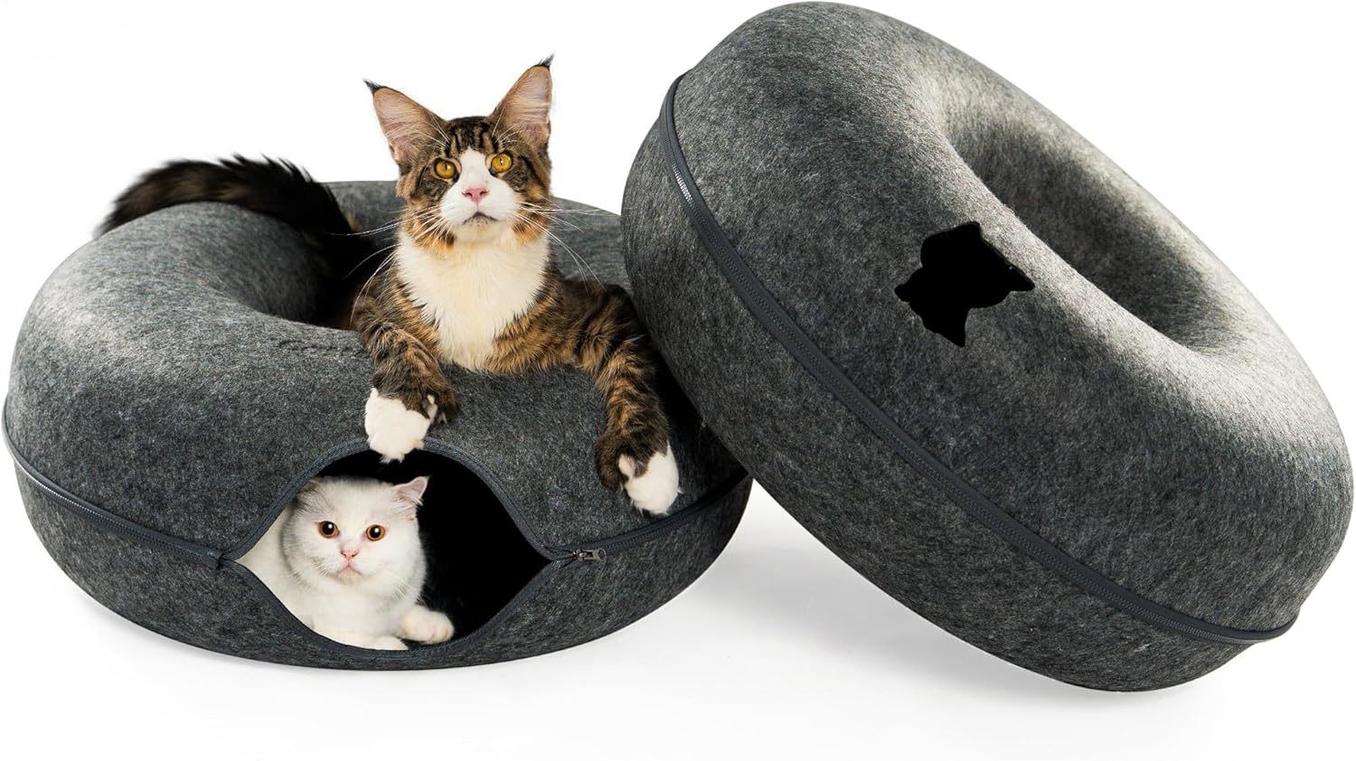 Cattasaurus Peekaboo Cat Cave for Large Cats and Kittens