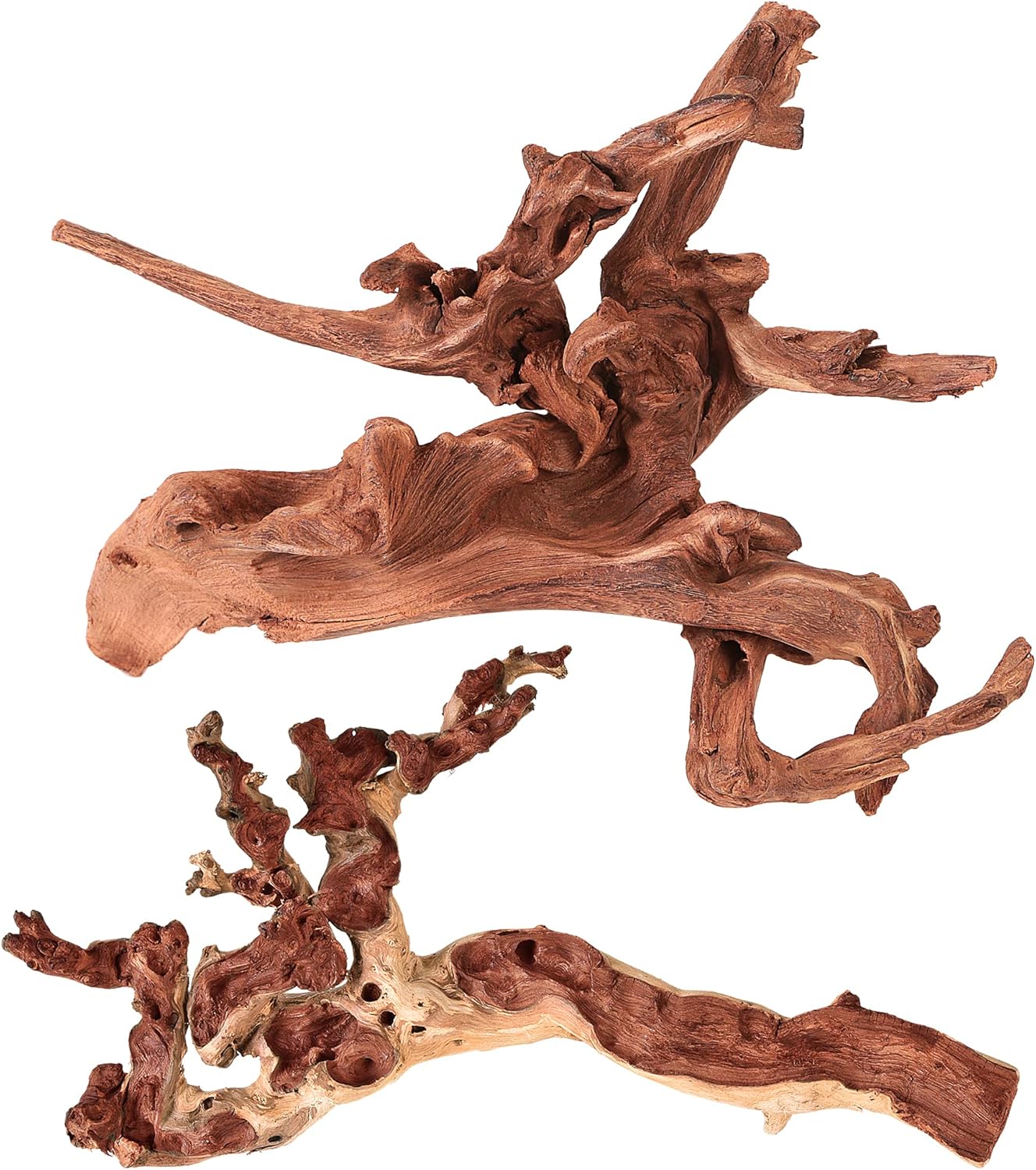 Natural Coral Driftwood for Aquarium and Reptile Decor