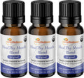Healthy Mouth Blend Organic Tooth Oil - Natural Toothpaste & Rinse