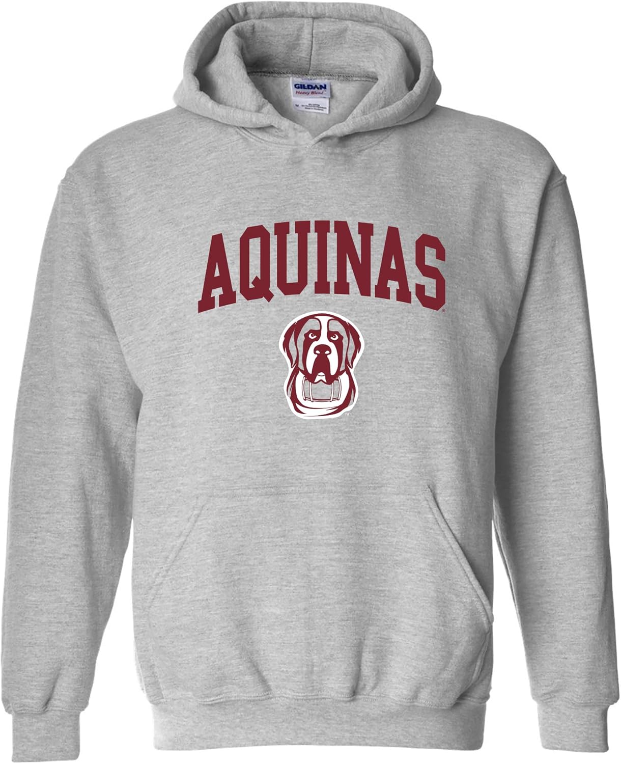 NCAA Officially Licensed College Team Color Arch Logo Hoodie
