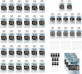 RAW Rut Season Pro Pack - 30 Doe Estrus 2oz Bottles