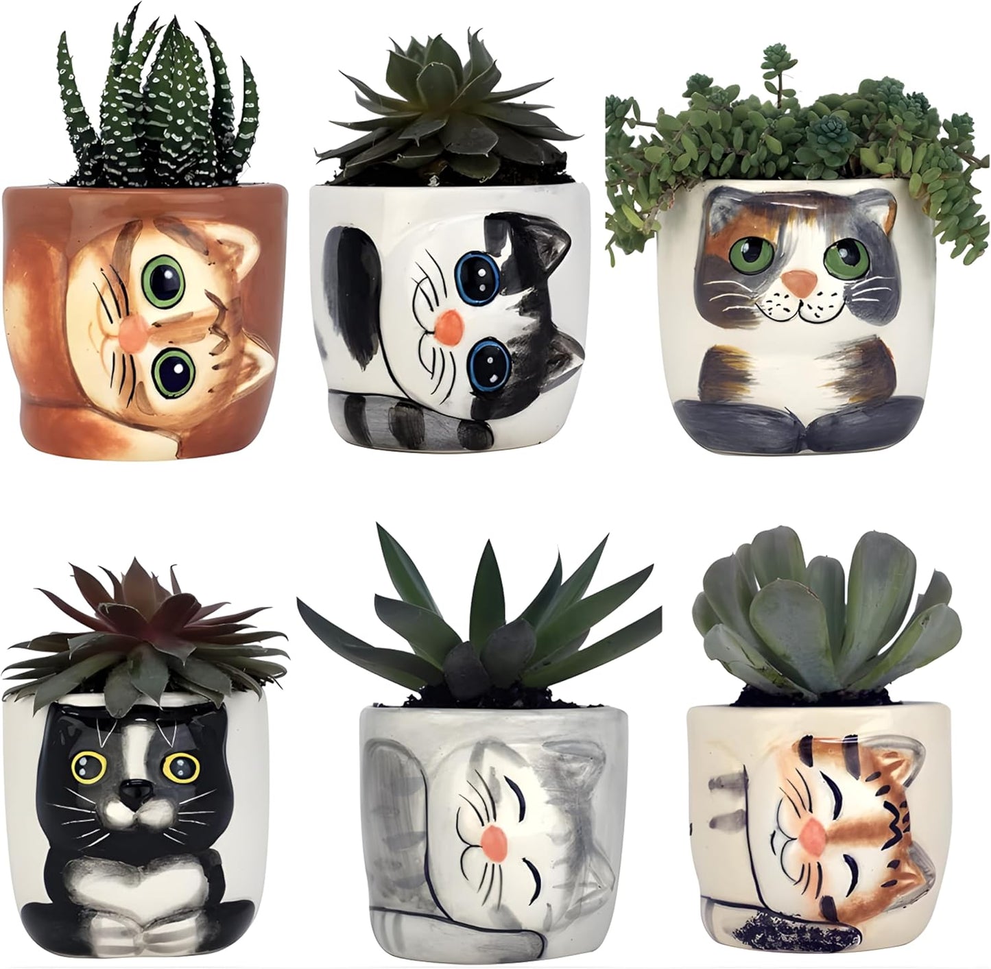 Cute Cat Planter Pot - 6 Mini 3in Succulent Kitty Pots