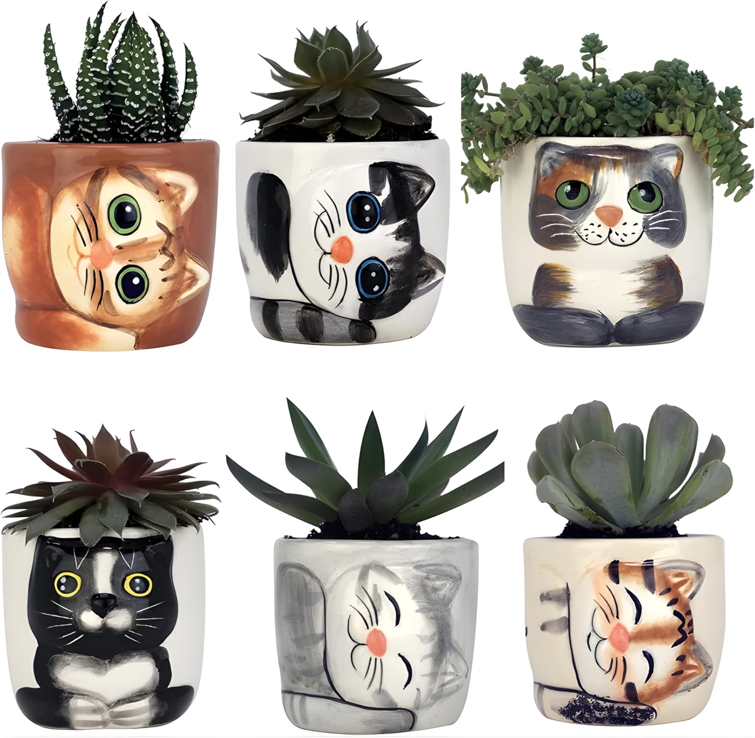 Cute Cat Planter Pot - 6 Mini 3in Succulent Kitty Pots