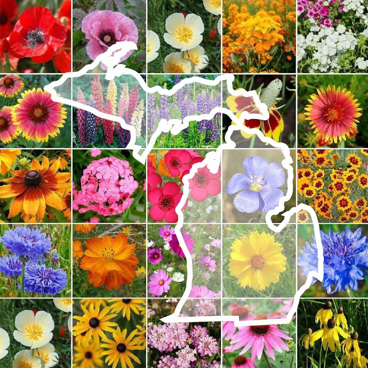 Michigan Wildflower Mixed Seeds for Planting - 1 lb of Beauty