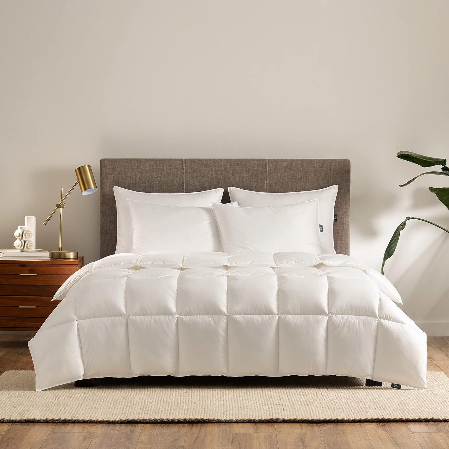 Serta Down Illusion Lightweight Hypoallergenic Comforter Review
