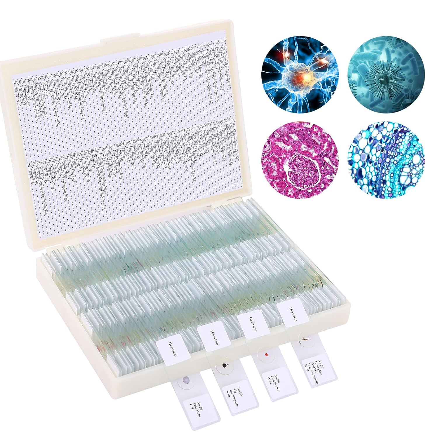 120 Microscope Slides with Specimens for Biological Science