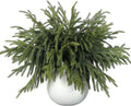 Real Touch Norfolk Pine Branches 16 Pcs 18in - Lifelike Holiday