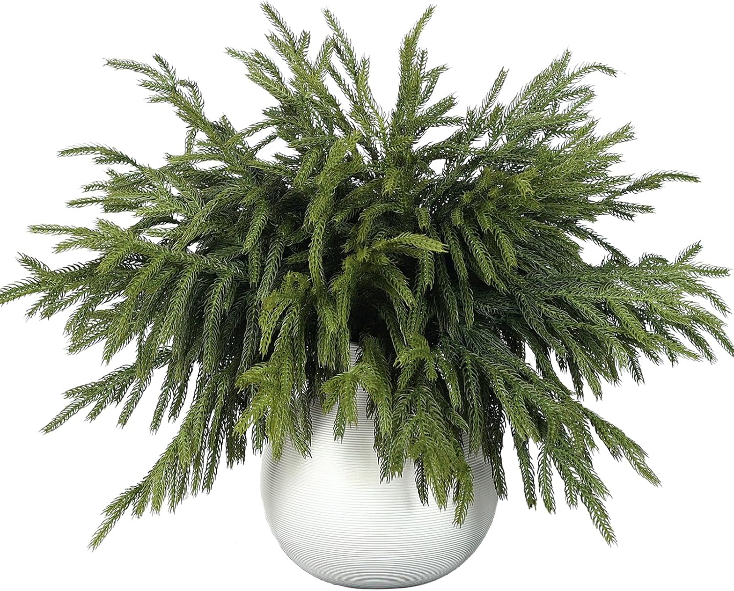 16 Pcs Real Touch Norfolk Pine Branches for Christmas Decor