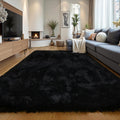 Black Fluffy 8x10 Large Area Rug - Soft Washable Shag Carpet