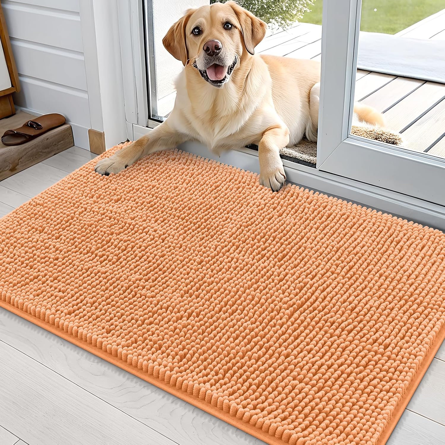 OLANLY Dog Door Mat for Muddy Paws - Absorbent Chenille Mat