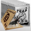 12 Pack Large Sticky Mouse Traps - Non-Toxic Indoor Glue Traps