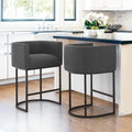 LUE BONA 27ft H Counter Height Bar Stools Set of 2 - Comfortable
