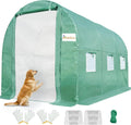 KING BIRD 10x6.6x6.6 ft Greenhouse - Heavy Duty Walk-in Tunnel
