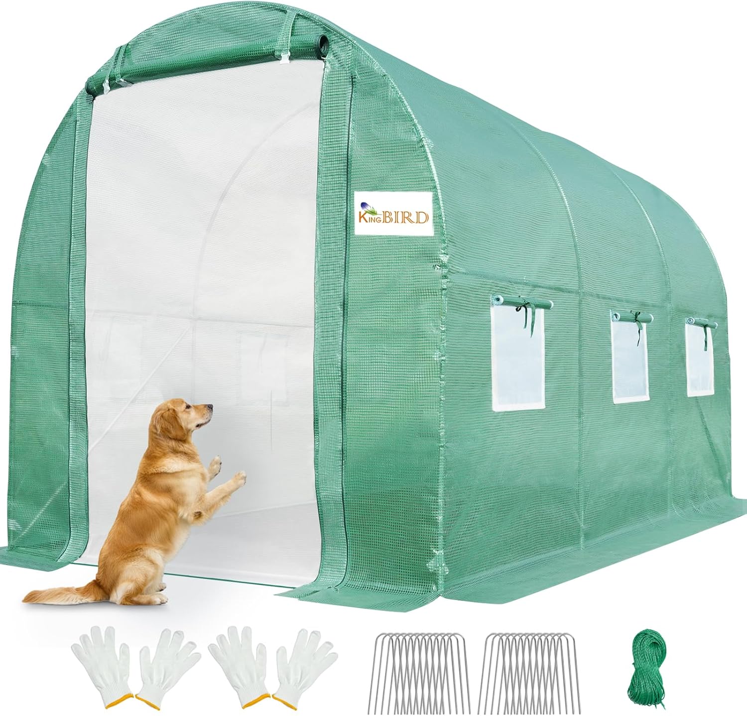 Premium 10x6.6x6.6FT Greenhouse for Outdoors by KING BIRD