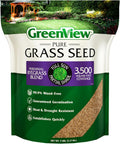 Perennial Ryegrass Blend Seed - Fast Germination, Durable Lawn