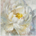 Delicate Flower Petals Soft White Yellow Painting - 36x36 Canvas