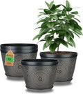 Quarut 15 in 4 Pack Large Plant Pots - Modern Circle Pattern Planters