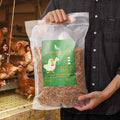 Non-GMO Dried Mealworms 11LB - Large Natural Treats for Birds & Pets