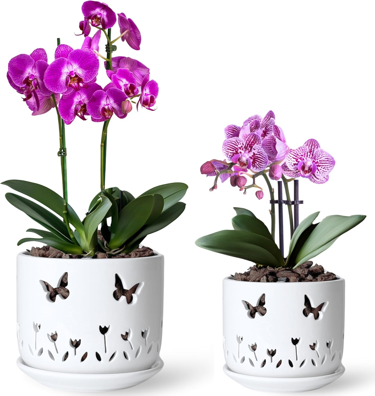Elegant Set of 2 White Orchid Pots with Butterflies and Tulips