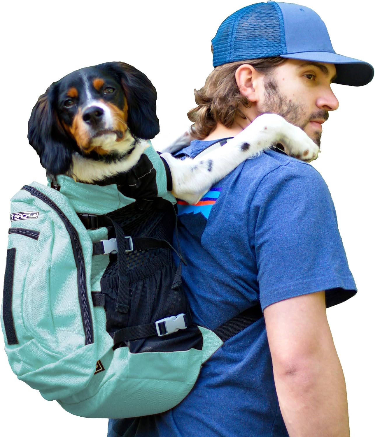 Hands-Free Small Dog Backpack | Summer Mint