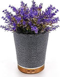 Essential Oil Diffuser Lavender Plant Potted Aromatherapy - 150ml Cold