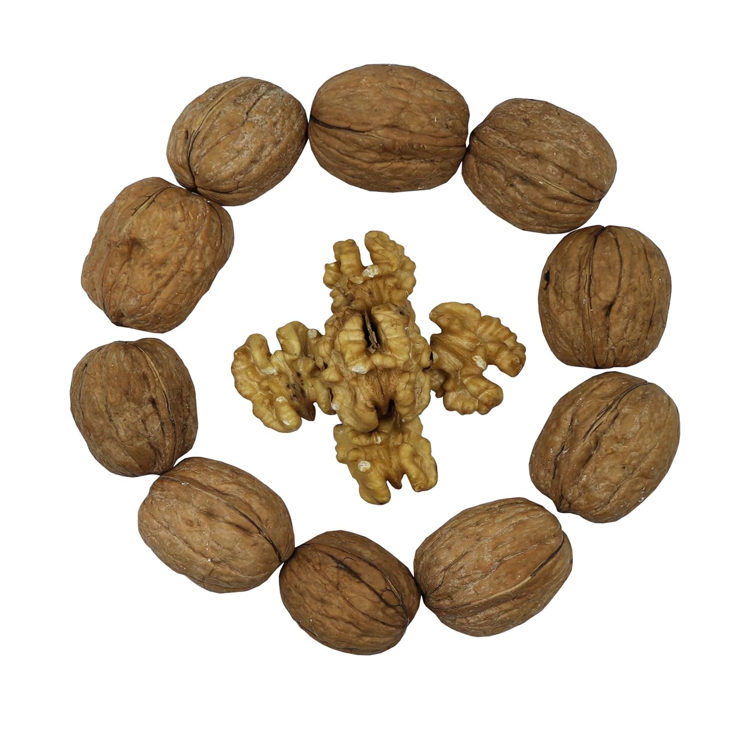 Raw Walnuts in Shell by Smarty Stop - Perfect for Cooking