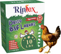 Dried Black Soldier Fly Larvae 10 lbs - High Protein Poultry Treat
