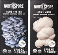 (2-Pack) Organic Blue Oyster & Lion's Mane Mushroom Grow Kits