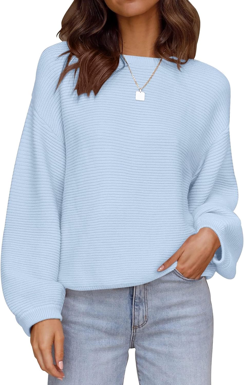 ZESICA Women's Crew Neck Long Lantern Sleeve Pullover Sweater