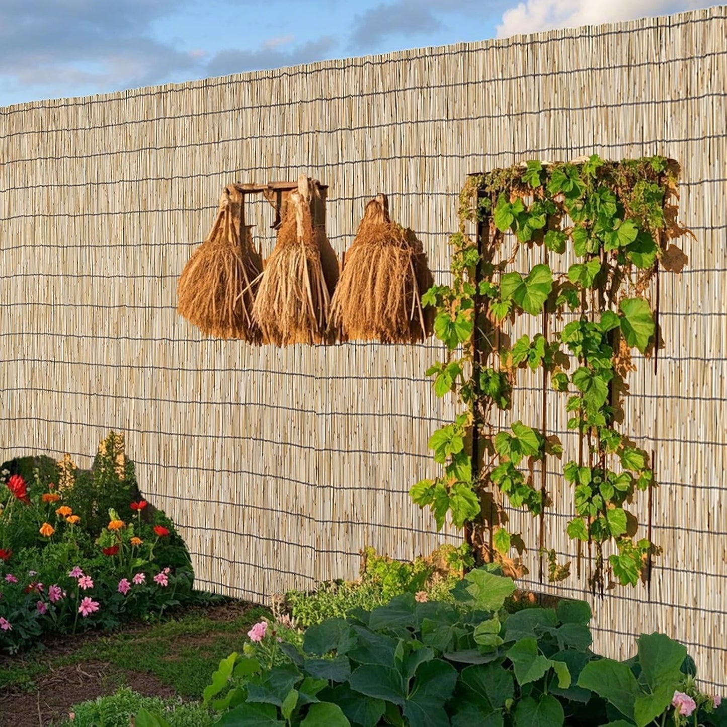 Natural Reed Fencing Roll for Privacy and Shade in Outdoor Spaces