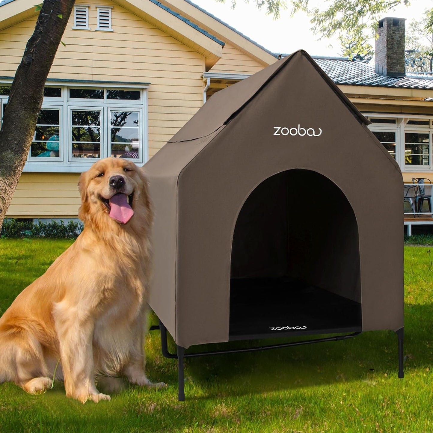 Elevated Outdoor Dog House for Large Dogs - Weatherproof XL Shelter
