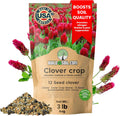 No-Till Clover Seed Cover Crop Blend 12 Species - Premium 3 lb Bag