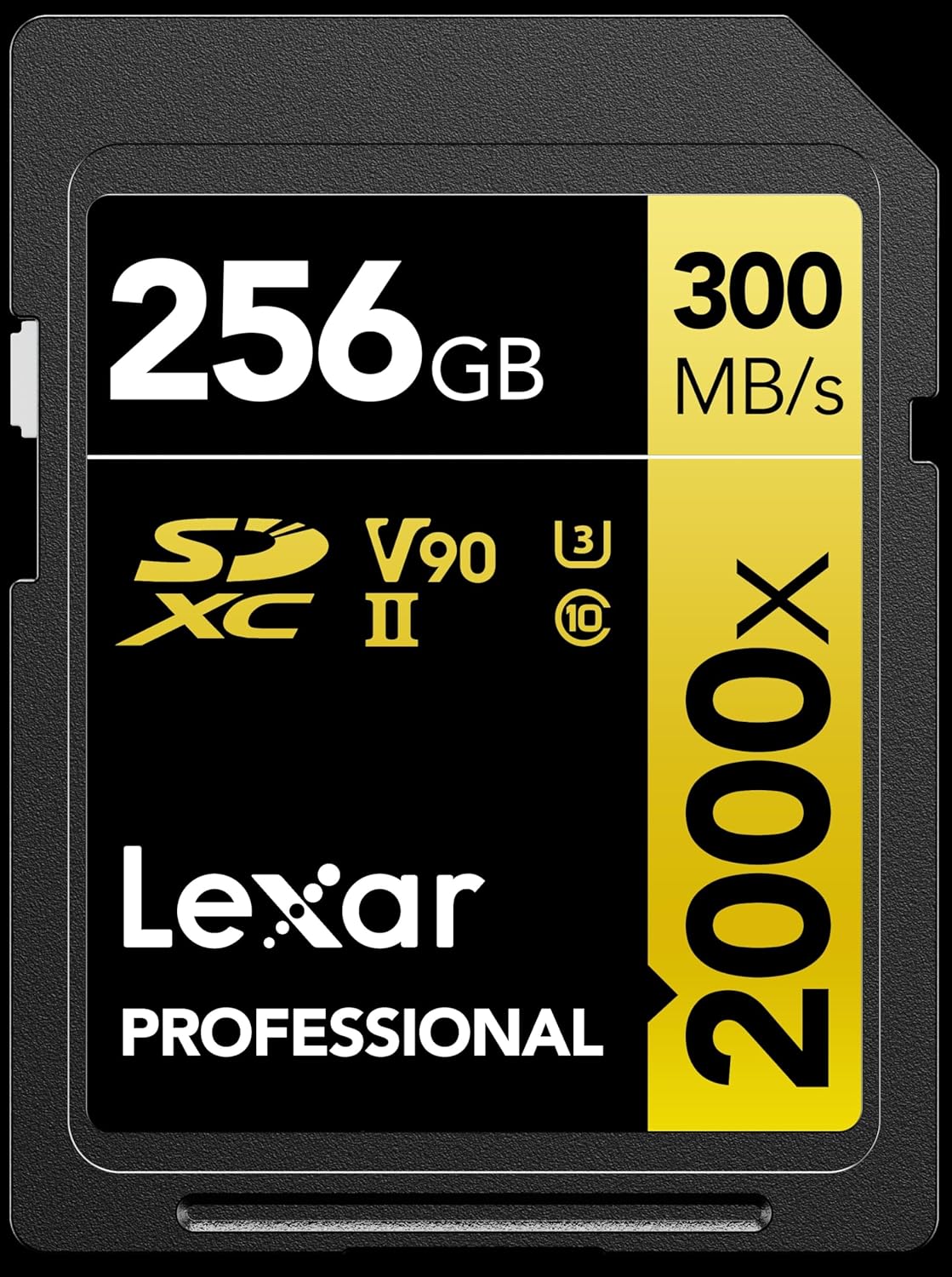 Lexar 256GB Professional 2000x SD Card for High-Speed Photography