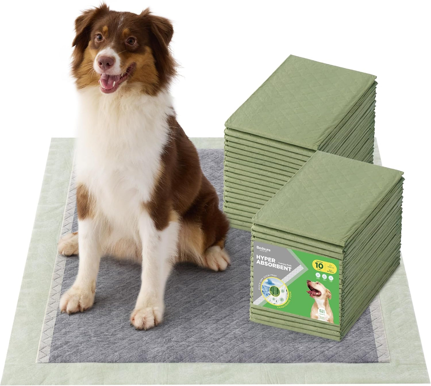 Extra Large Dog Pee Pads for Training and Everyday Use