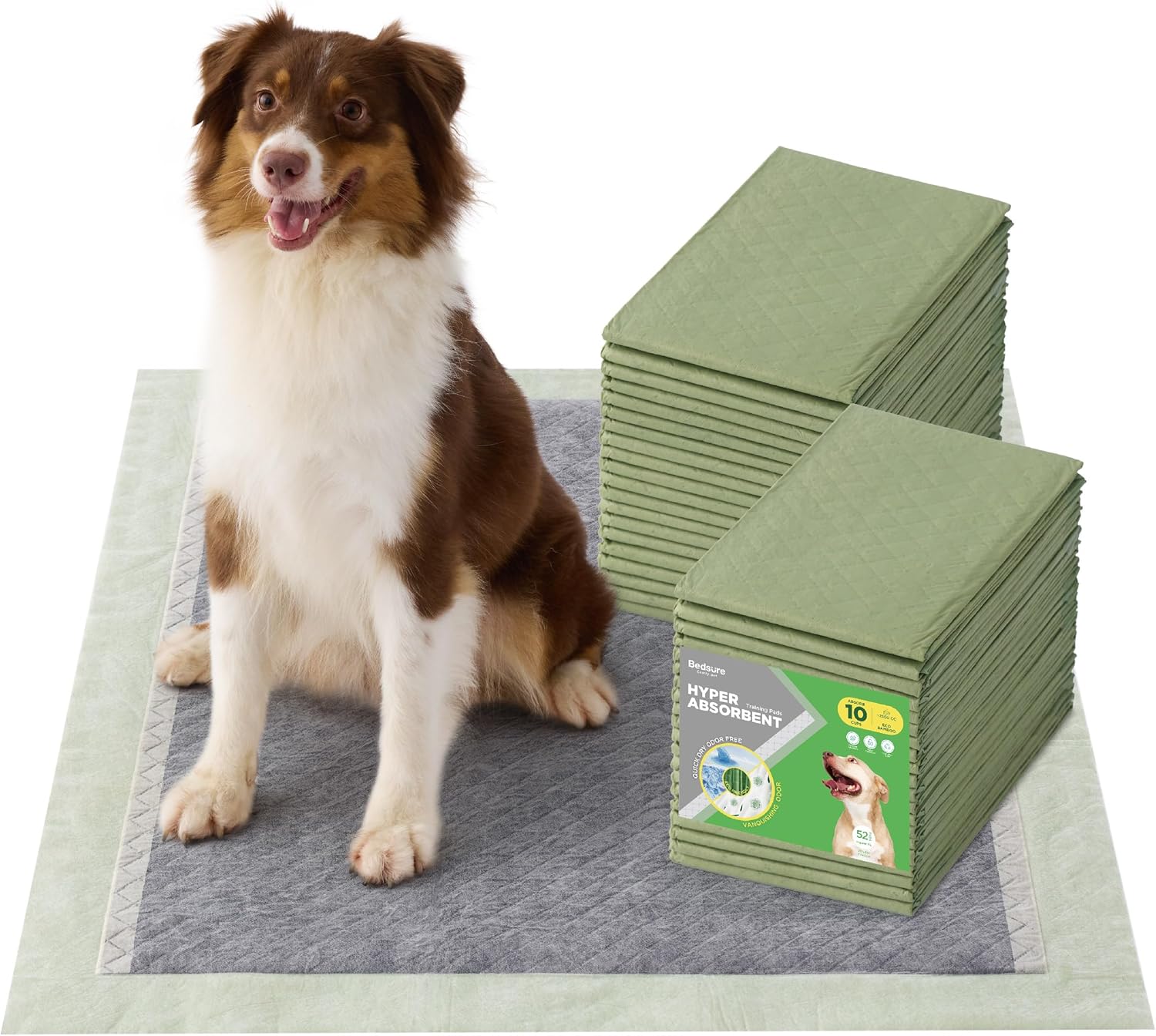 Extra Large Dog Pee Pads for Training and Everyday Use