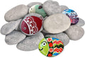 DALTACK 90PCS Large Painting Rocks for Arts & Crafting Fun