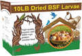 10lb Dried Black Soldier Fly Larvae Chicken Feed - Natural High