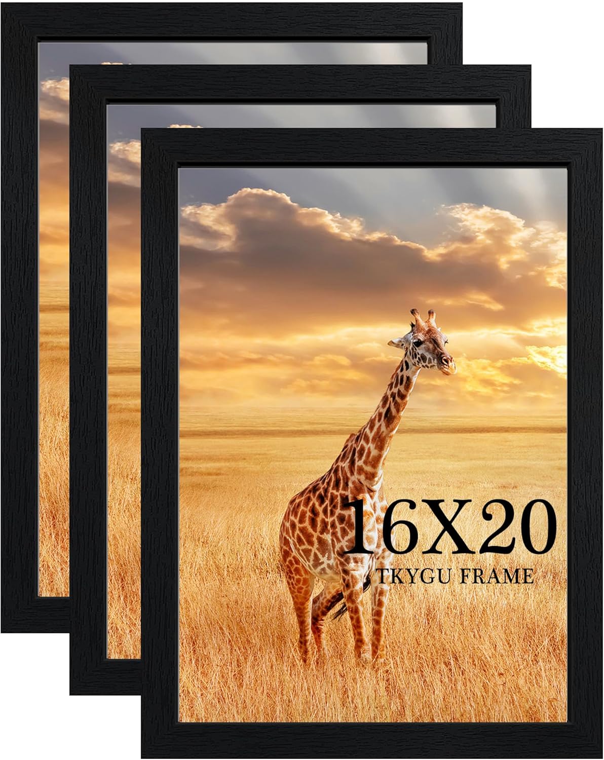 16x20 Picture Frame Set of 3, Stylish Black Wooden Frames